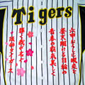 ��_�^�C�K�[�X�O�h�J_12(���x�[�X�p)