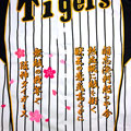 ��_�^�C�K�[�X�O�h�J_13(���x�[�X�p)