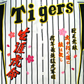 ��_�^�C�K�[�X�O�h�J_1(���x�[�X�p)
