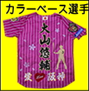 阪神タイガースカラーユニ選手刺繍見本